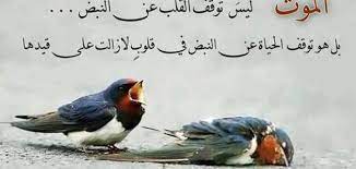 كلمات عن فراق الأب حقاً أحببتك يا أبي أكثر من الكثير بكثير. Ø´Ø¹Ø± Ø­Ø²ÙŠÙ† Ø¹Ù† Ø§Ù„Ù…ÙˆØª Ø§Ø´Ø¹Ø§Ø± Ø¹Ù† Ø§Ù„Ù…ÙˆØª ÙˆØ§Ù„Ø±Ø«Ø§Ø¡ ÙƒÙ„Ø§Ù… Ù†Ø³ÙˆØ§Ù†