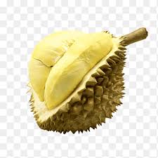 Durian png images clipart collection. Durio Zibethinus Fruit Food Ingredient Pasta Durian Food Odor Png Pngegg