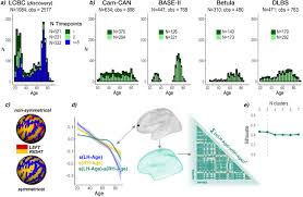 Where are the locations of the dark knight? Asymmetric Thinning Of The Cerebral Cortex Across The Adult Lifespan Is Accelerated In Alzheimer S Disease Biorxiv