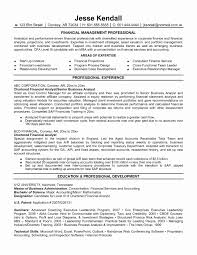 Business Development Executive Resume Template Lovely Remarkable ...
