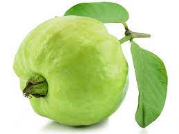 Safe To Eat Guava