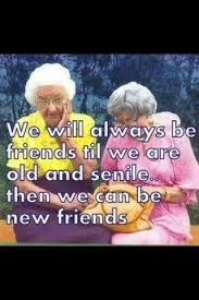 Senile Friends Quotes Funny Emails Funny Quotes