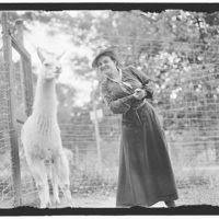 An altitudinal journey through portugal: Adams Mrs Franklin Nee Harriet Chalmers At Zoo Library Of Congress Public Domain Image