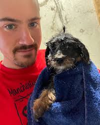 The crew here at Deep Creek is starting to slowly thin out. Always a bitter  sweet time as the puppies we have cared for the past 8 weeks go