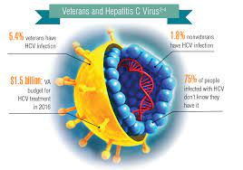 There are seven major genotypes of hcv, which are known as genotypes one to seven. Hepatitis C Federal Health Data Trends Full Federal Practitioner
