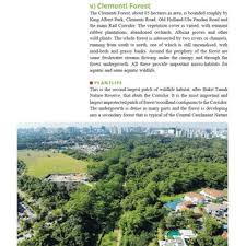 How does the forest look like in person? Clementi Forest Description A Key Unprotected Biodiversity Area Along Download Scientific Diagram
