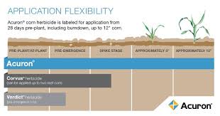 if youre still waiting to plant use this time to evaluate