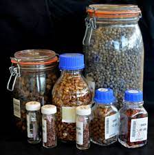 Although the term seed bank is commonly with soil, seeds can also be stored on mother plants (aerial seed bank). Seed Storage An Overview Sciencedirect Topics