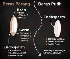 Sayangnya, tidak banyak yang mengetahui tentang manfaat ini, sehingga air cucian beras terbuang begitu saja. 5 Fakta Penting Tentang Beras Perang