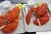 Maine Lobster Roll