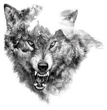 Pin On Wolf Tattoo Designs How to draw a howling wolf | step by step. pinterest