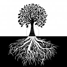 Beautiful Black And White Tree Pictures Tree With Roots On Black And White Background Black And White Tree Black And White Background White Tree