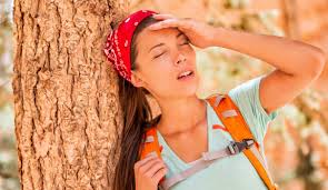 Survive the wilderness, build a home, raise a family, and expand your territory. Heat Stroke And Heat Exhaustion Mydr Com Au
