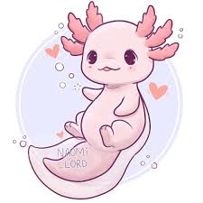 Kawaii Axolotl As Part Of My Kawaii Animal Series As Always Feel Free To Request Cute Animal Drawings Kawaii Cute Kawaii Drawings Cute Kawaii Animals