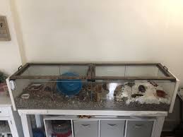 Diy Lid For Ikea Detolf Hamster Habitat Ikea Detolf Hamster Cages