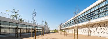 Msc In Finance Nova School Of Business Economics