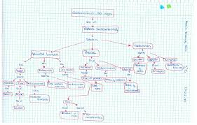 Por último, las encargadas de realizar la distribución y comercialización de los productos y servicios se consideran actividades económicas terciarias. Vista De Los Mapas Conceptuales Como Instrumento De Evaluacion Una Experiencia De Educacion Ambiental Centrada En El Estudio De Ecosistemas Acuaticos Actualidades Investigativas En Educacion