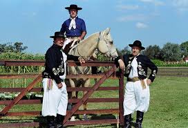 Gaucho Cowboy In Uruguay Tim Graham Uruguay Culture Uruguay Gaucho