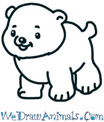 Draw lightly at first so that you can erase easily if you want to change anything. How To Draw A Cute Polar Bear