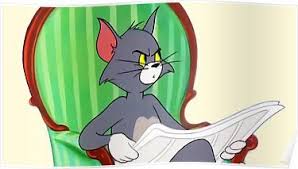 images Cat Reading Newspaper Meme Blank