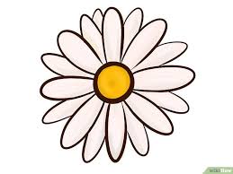 Maybe you would like to learn more about one of these? 65 Gambar 2 Dimensi Bunga Yang Mudah Kekinian Gambar Pixabay