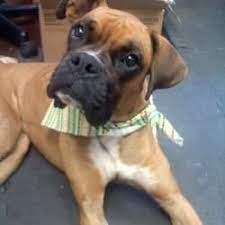 Check spelling or type a new query. Pet Stores In Louisville Yelp