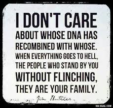 I Don T Care Family Quotes Words Inspirational Quotes