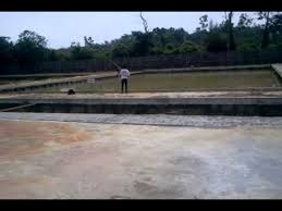 Pemancingan Azzahra Balikpapan Youtube