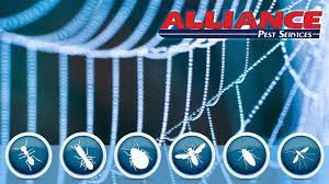 Choose what fits best termites bed bugs animal control rodents carpenter ants cockroaches pavement ants carpenter bees mosquitos/ticks wasps yellow jackets stink bugs. Alliance Pest Services Home Facebook