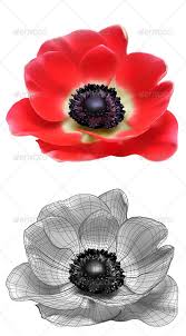 Red Flower Vector Illustration Anemone Tattoo Flower Art Drawing Flower Tattoos