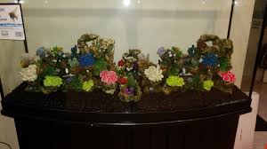 Check spelling or type a new query. Top Fin Stone And Coral Bubbler Aquarium Ornament Size X Large Multi Color For Sale In Cedarhurst Ny Offerup