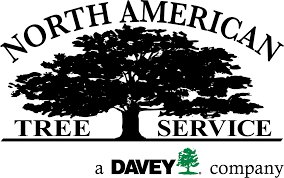 Read trusted reviews on local pros in loganville, georgia from real people. Tree Care Snellville Lawrenceville Ga North American Tree Service
