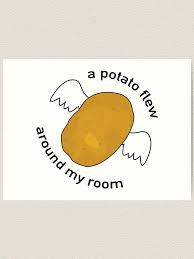 Congrats, this potato represents the potato song being stuck in your brain for the rest of eternity. A Potato Flew Around My Room Before You Came Excuse This History Of A Potato Flew Around My Room Becoming A Vine Meme First We Feast A Potato Flew Around