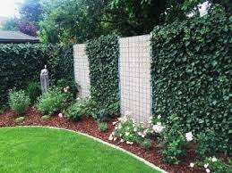 Efeu Element 180 X 120 Cm Angebot Garten Landschaftsbau Efeuhecke Sichtschutz Pflanzen