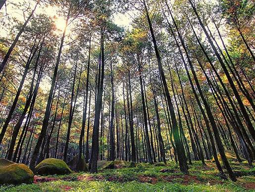 Gunung Pancar - Zest Hotel Bogor
