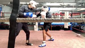 Boxing Training Blog
