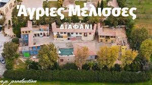 Jun 16, 2021 · τίποτα δε θα μείνει ίδιο στο διαφάνι. Agries Melisses To Thleoptiko Diafani Apo Pshla Youtube
