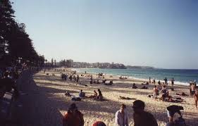Check spelling or type a new query. Manly Beach Bild Von Brisbane Brisbane Region Tripadvisor