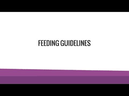 Feeding Guidelines For Your Healthy Pet Raw Diet Feeding Suggestions