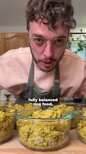 Balanced Homemade Dog Food Recipes for Happy Pets