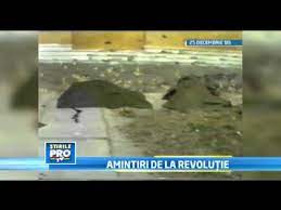 Adevarul despre moartea lui nicu ceausescu: Petre Roman Dupa Executie Trupurile Ceausestilor Si Caseta Filmata Au Disparut Timp De Cateva Ore Youtube
