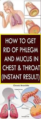 How To Get Rid Of Phlegm And Mucus In Chest And Throat Getting Rid Of Phlegm Mucus Health