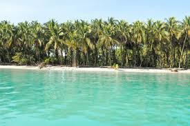 Deep sea fishing in bocas del toro. Things To Do In Bocas Del Toro Panama A Fully Comprehensive Guide