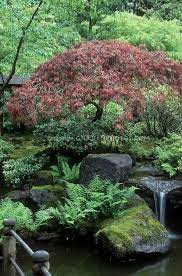 Most Current Photographs Japanese Garden Plants Strategies Japanese Gardens Are Traditional Gardens T In 2021 Small Japanese Garden Japanese Garden Japanese Zen Garden