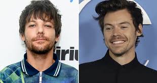 Louis Tomlinson praises 'brother' Harry Styles but slams 'weird' fanfics :  r/Fauxmoi