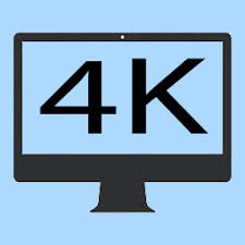 Image result for Cleistochlamys kirkii