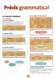 Precis Grammatical Grammaire Francaise Grammaire Apprendre Le Francais