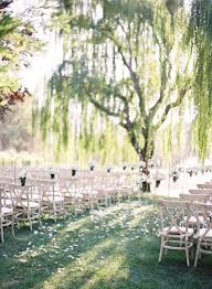 Summer Willow Tree Wedding At Black Swan Lake Willow Tree Wedding Tree Wedding Ceremony Summer Garden Wedding