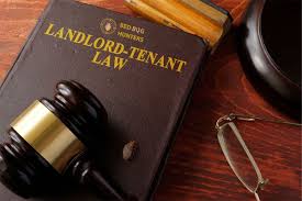 Are you involved in a dc residential landlord tenant dispute and have questions about the process, or have questions about a case involving a pest control issue? Bed Bugs Tenants And Landlords In The Uk Bed Bug Pest Control Company In London Providing Guaranteed Bed Bug Treatment And Extermination Solutions