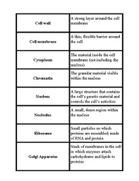 Organelles make up the subunits of a cell. Cell Organelle Card Sort Matching By Farrah Ekbatani Tpt